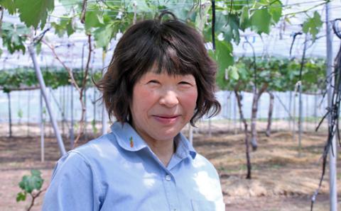 ぶどうの詰め合わせ 約1kg（ピオーネ・シャインマスカット） 9月中旬出荷開始予定 ＜2026年収穫分・数量限定＞【先行予約】