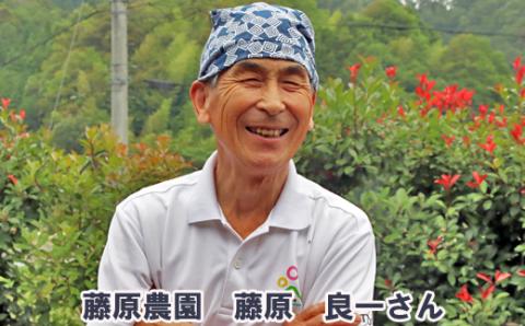 里地・里山のめぐみ［アカシアハチミツ1kg]