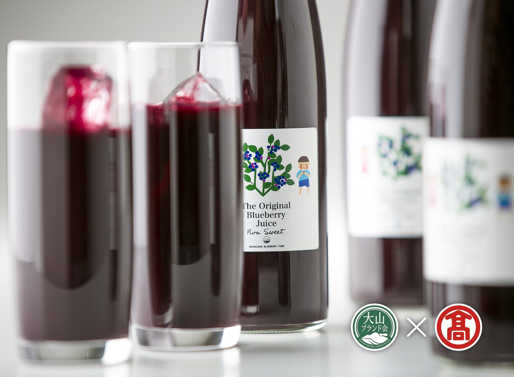 BI1＜奥大山ブルーベリーファーム>ブルーベリージュースセットA（大山ブランド会） 500ml×3本