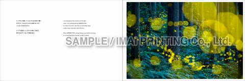廣池昌弘写真集「HIMEBOTARU」