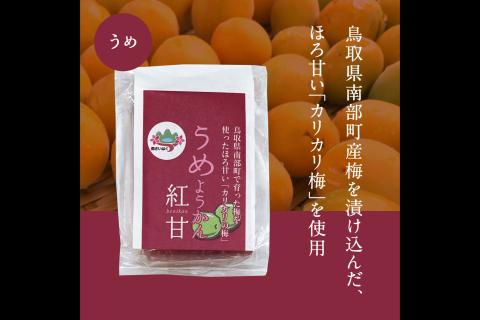 ミニ羊羹3種セット (ゆず・梅・うど)　3種類×各3個 合計9個 羊羹 スイーツ 和スイーツ ようかん 鳥取県南部町