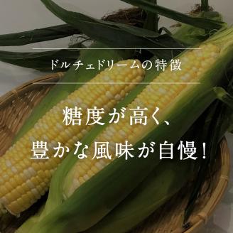 南部町産 朝採れスイートコーン5kg箱 食べくらべセット（ドルチェドリーム・ホワイトショコラ）2025年収穫分＜数量限定＞