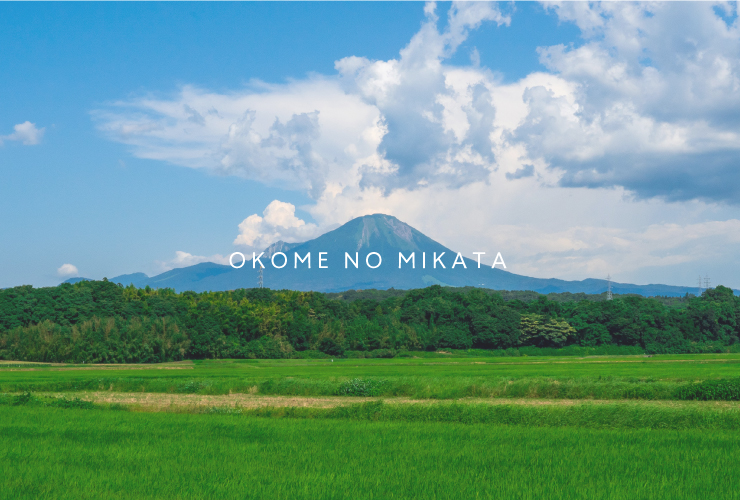 ＜新米・令和7年産＞ おこめのみかた 鳥取県産コシヒカリ 10kg(5kg×2) 令和7年産 米 お米 白米 精米 鳥取県南部町