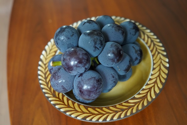 ピオーネ 約2kg　9月出荷予定＜2026年収穫分・数量限定＞【先行予約】