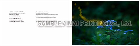 廣池昌弘写真集「HIMEBOTARU」