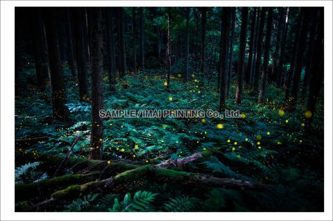 廣池昌弘写真集「Quest/探求」第1集