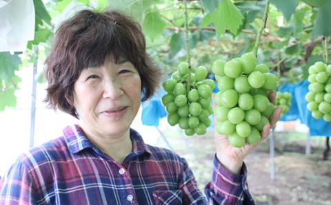 シャインマスカット 約1kg　9月中旬出荷開始予定＜2026年収穫分・数量限定＞【先行予約】