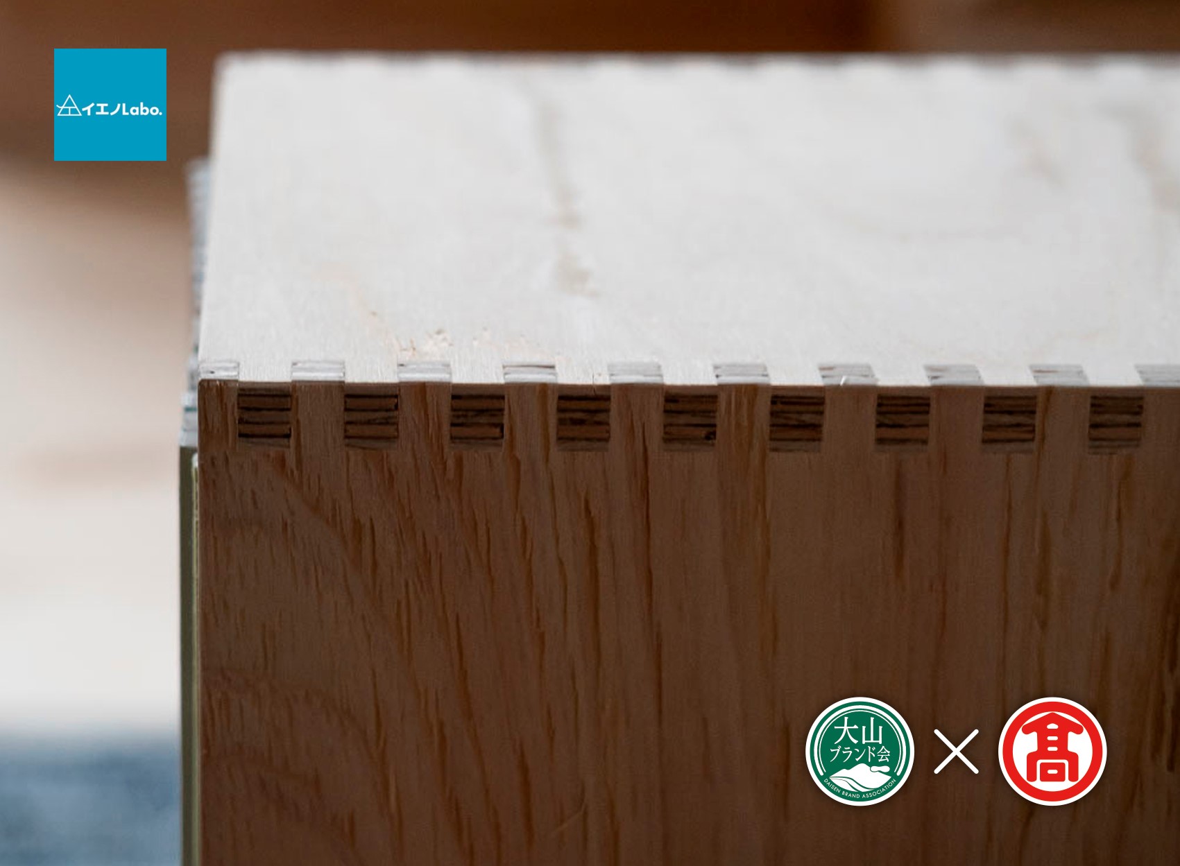 DH3＜イエノLabo. ＞アラレボックス2（大山ブランド会）