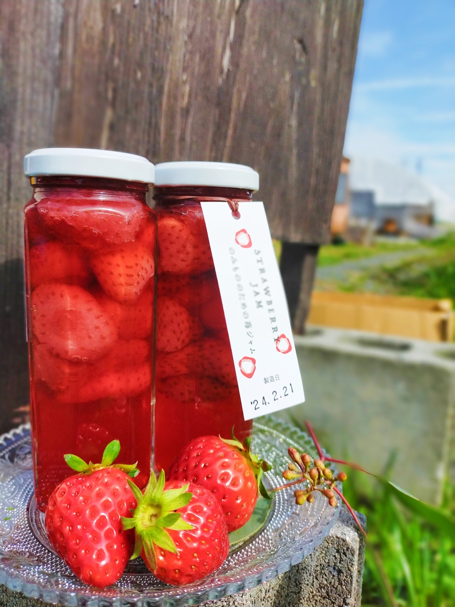 主役はいちご 南部町産いちごジャムの詰め合わせ 3種類各2個ずつ 合計6個 ひろみいちご