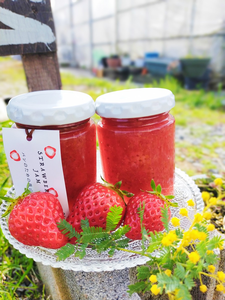 主役はいちご 南部町産いちごジャムの詰め合わせ 3種類各2個ずつ 合計6個 ひろみいちご