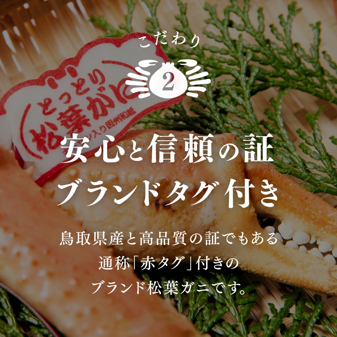 【北海道・沖縄・離島配送不可】【タグ付き】活〆ボイル松葉蟹(大) 800g以上 松葉ガニ 松葉がに カニ かに 境港 マルツ