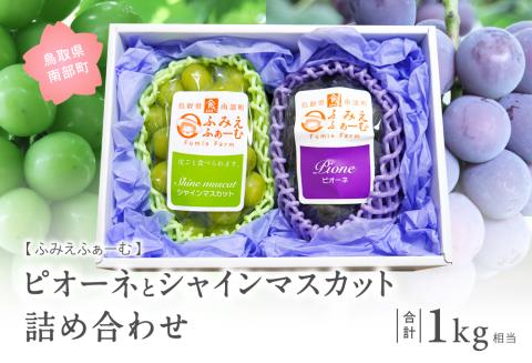 ぶどうの詰め合わせ 約1kg（ピオーネ・シャインマスカット） 9月中旬出荷開始予定 ＜2026年収穫分・数量限定＞【先行予約】