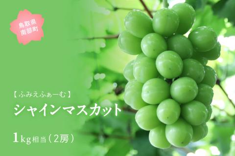 シャインマスカット 約1kg　9月中旬出荷開始予定＜2026年収穫分・数量限定＞【先行予約】