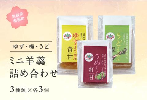 ミニ羊羹3種セット (ゆず・梅・うど)　3種類×各3個 合計9個 羊羹 スイーツ 和スイーツ ようかん 鳥取県南部町
