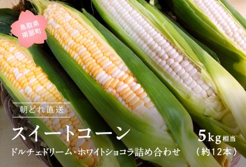 南部町産 朝採れスイートコーン5kg箱 食べくらべセット（ドルチェドリーム・ホワイトショコラ）2025年収穫分＜数量限定＞
