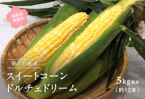 南部町産 朝採れスイートコーン（バイカラー種ドルチェドリーム）5kg箱　2025年収穫分＜数量限定＞