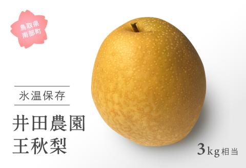 鳥取県南部町産　井田農園の王秋[梨]　（3kg箱）＜11月～出荷開始＞