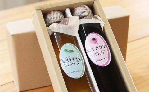 ノームキッチンのシロップセット小（ミント・エキナセア）