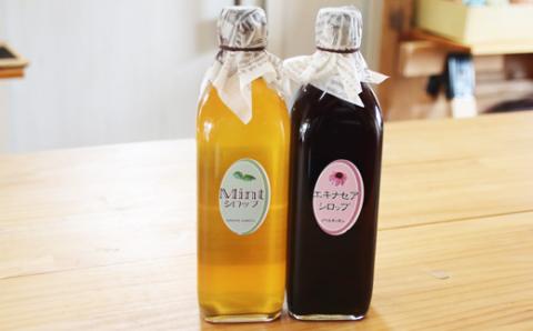 ノームキッチンのシロップセット大（ミント・エキナセア）