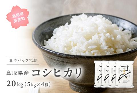 ＜新米・令和7年産＞ 真空パック包装 鳥取県産コシヒカリ20kg (5kg×4袋)  令和7年産