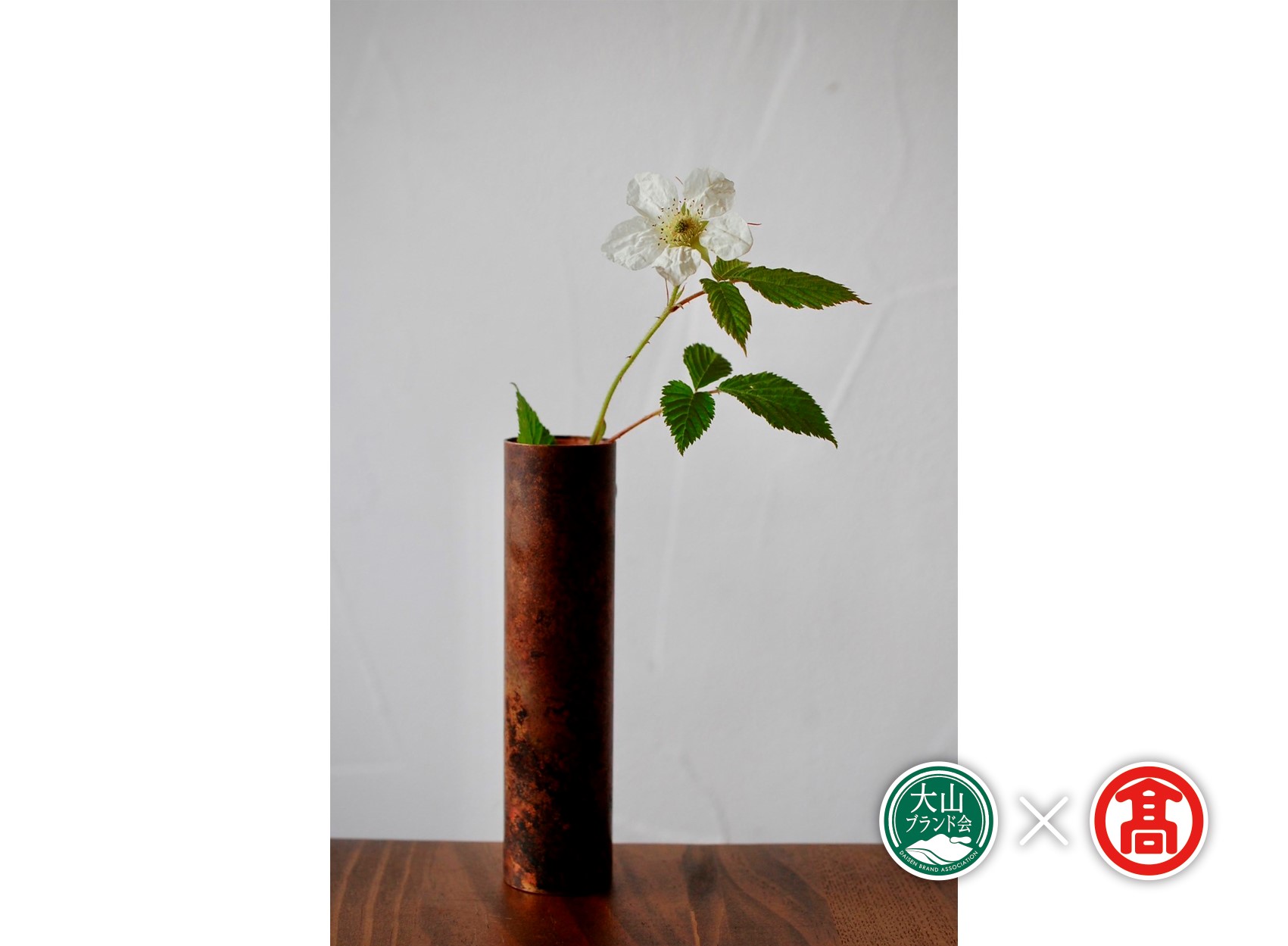 BD6＜tree frog＞糠焼色　円筒銅花器（大山ブランド会）