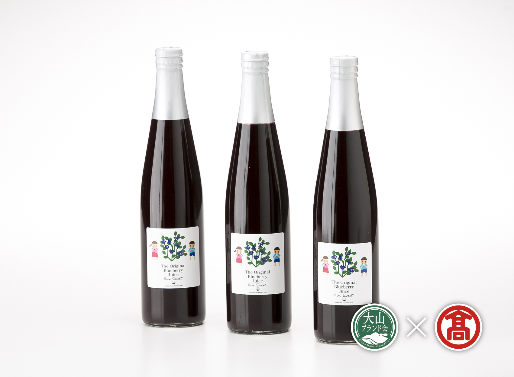 BI1＜奥大山ブルーベリーファーム>ブルーベリージュースセットA（大山ブランド会） 500ml×3本