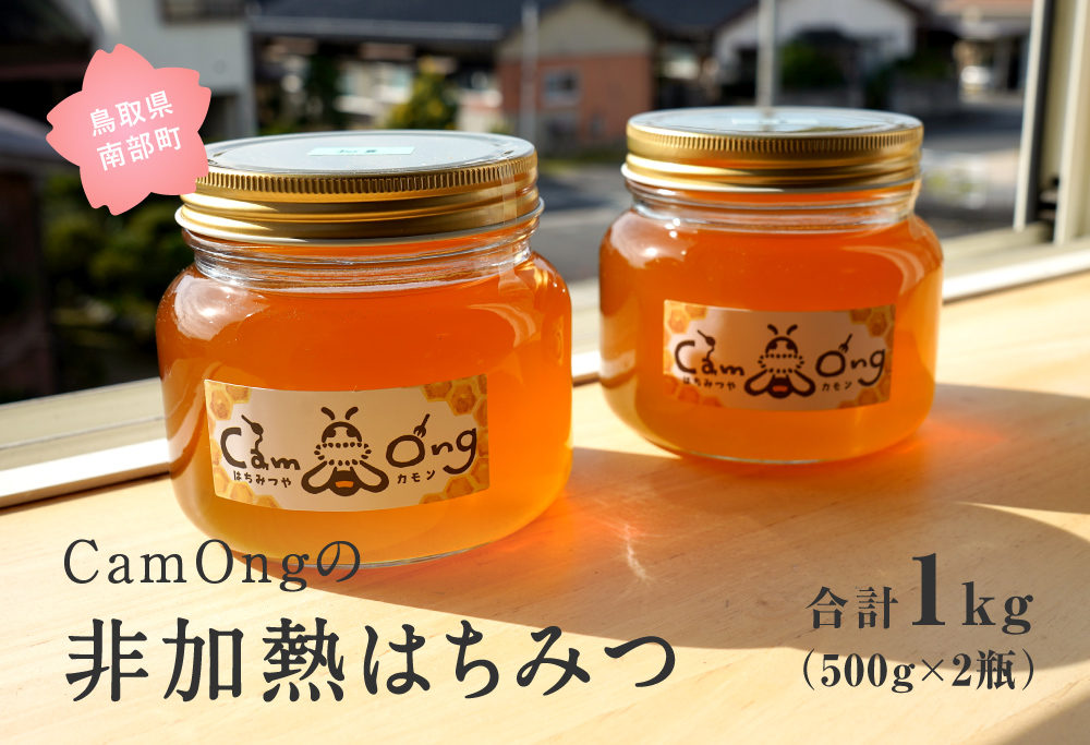 CamOngの非加熱はちみつ 合計1kg(500g×2瓶) ハチミツ 蜂蜜