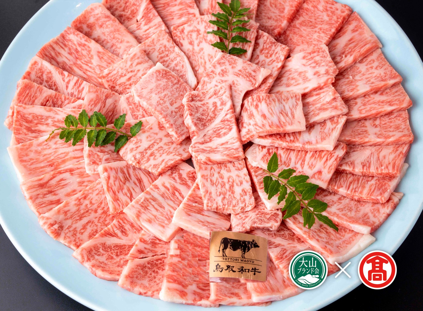 ＜皆生菊乃家＞鳥取和牛　A4ランク以上　サーロイン焼肉用（大山ブランド会）