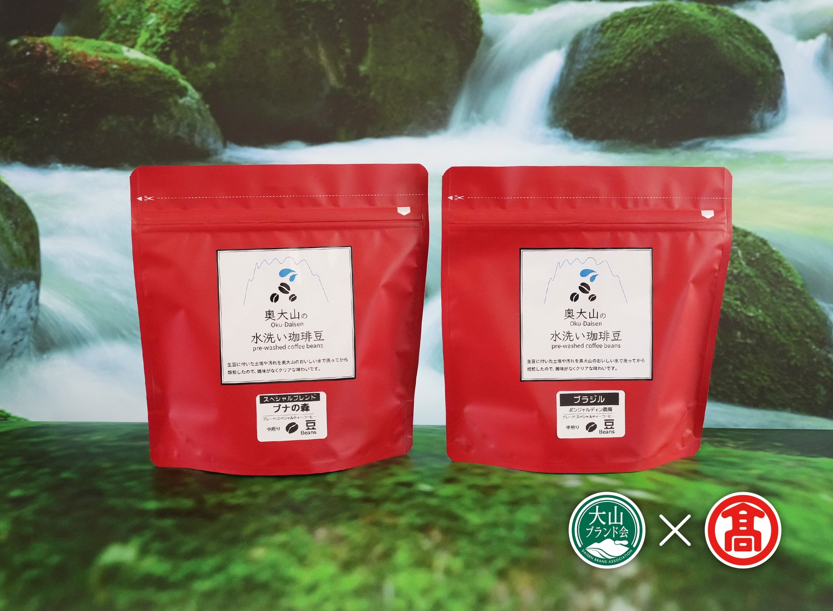 CY11＜奥大山の水洗い珈琲＞コーヒー（豆）詰合せA（大山ブランド会）
