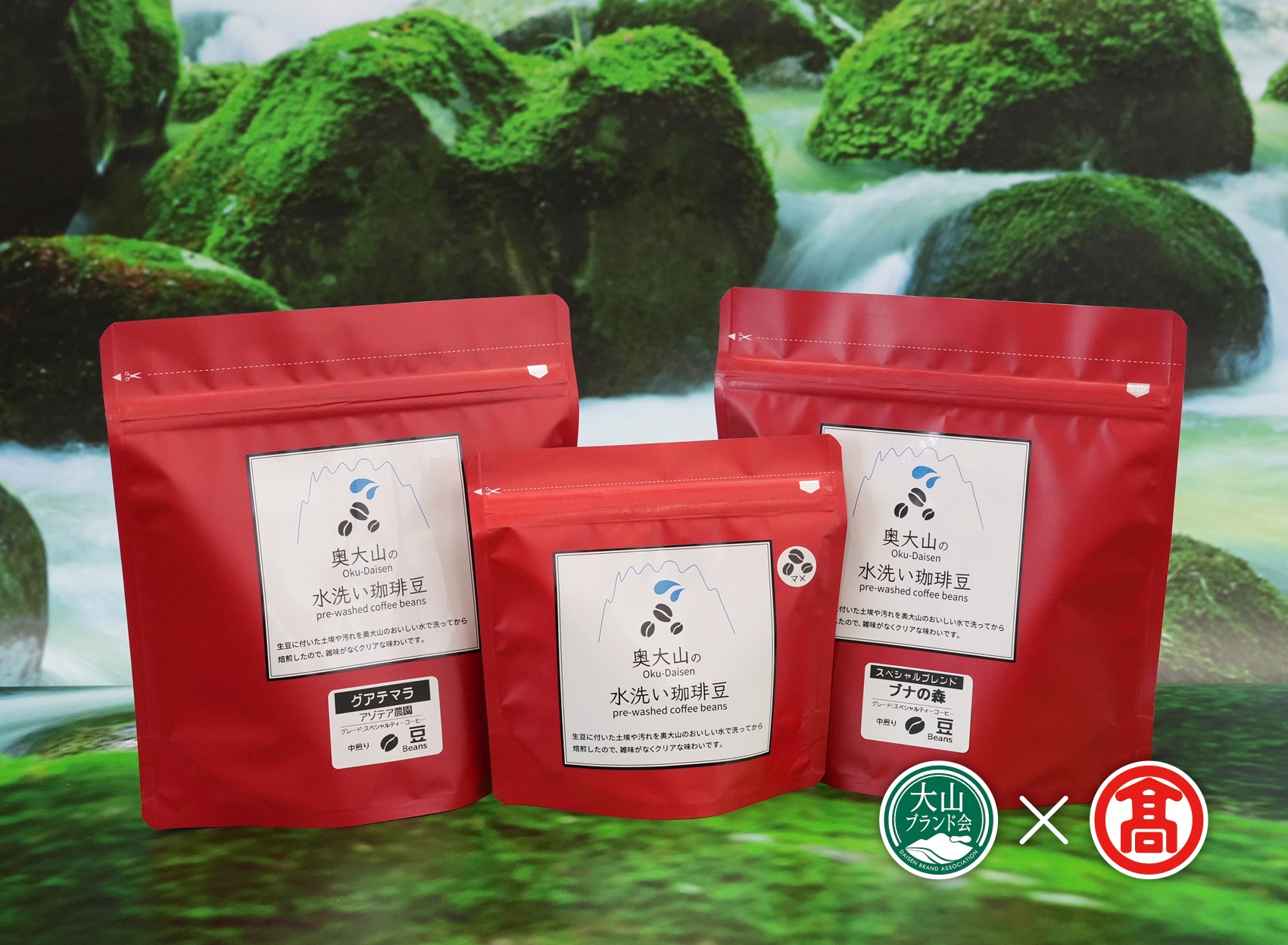 CY12＜奥大山の水洗い珈琲＞コーヒー（豆）詰合せB（大山ブランド会）