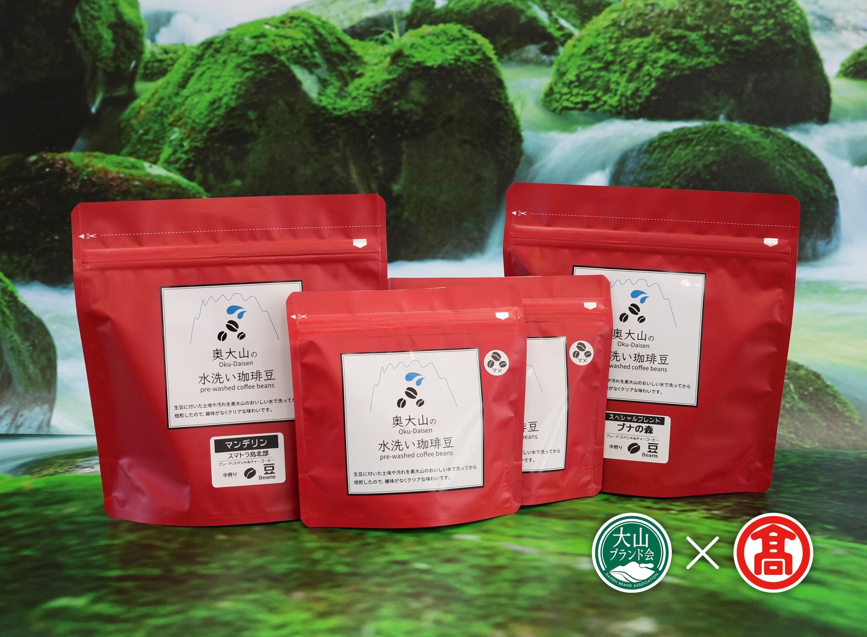 CY13＜奥大山の水洗い珈琲＞コーヒー（豆）詰合せC（大山ブランド会）