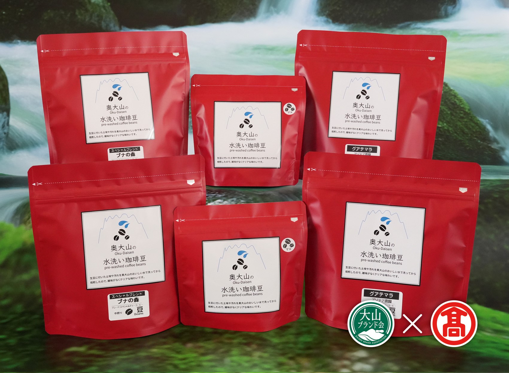 CY16＜奥大山の水洗い珈琲＞頒布会A　2回コース（大山ブランド会）