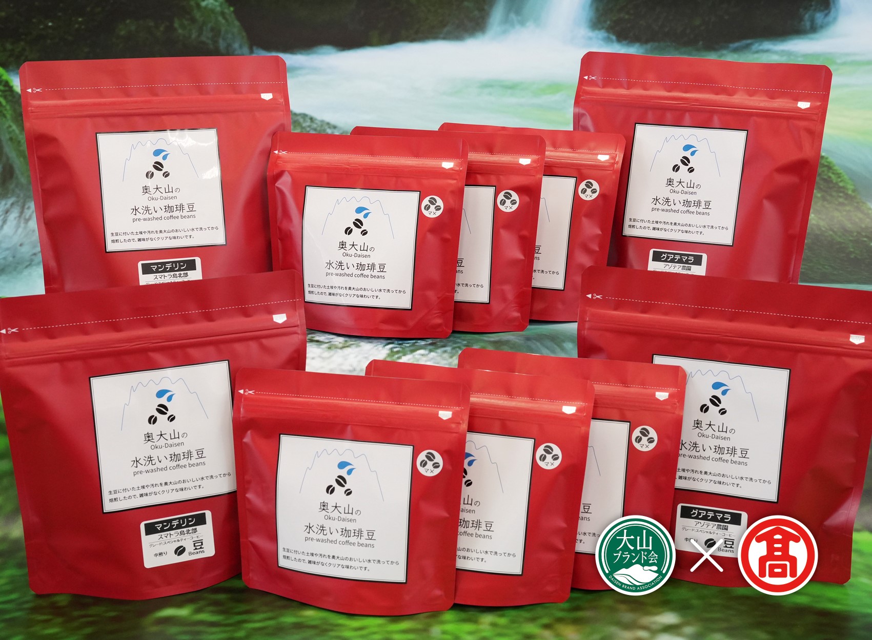 ＜奥大山の水洗い珈琲＞頒布会B　2回コース（大山ブランド会）