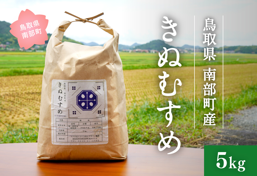 新米 令和7年産 鳥取県南部町産 きぬむすめ 5kg 米 お米 こめ おこめ コメ 白米 精米 なんぶ里山デザイン機構