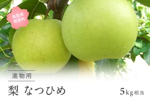 なつひめ [梨](進物用5kg箱)(出荷予定日:8月18日(日)・20日(火)・23日(金))[数量限定]