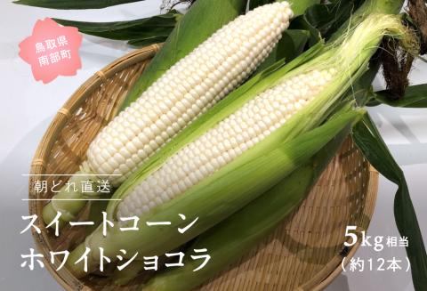南部町産 朝採れスイートコーン（ホワイト種ホワイトショコラ）5kg箱 2025年収穫分＜数量限定＞
