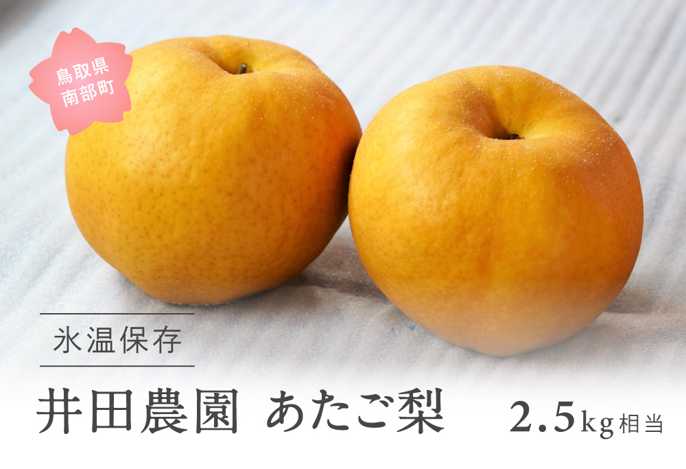 鳥取県南部町産 井田農園のあたご[梨](2.5kg箱)[11月下旬〜3月出荷分]