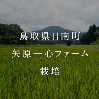 【新米・予約】令和7年産 矢原一心ファーム 特別栽培米 ミルキークイーン 10kg 米 お米 おこめ 鳥取県日南町 特別栽培