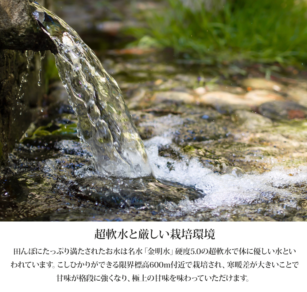 【白米】【5kg】新米 令和7年産 日南町 高級米 七金星 (ななきんぼし) コシヒカリ 真空パック 米 お米 おこめ 鳥取県日南町 こしひかり