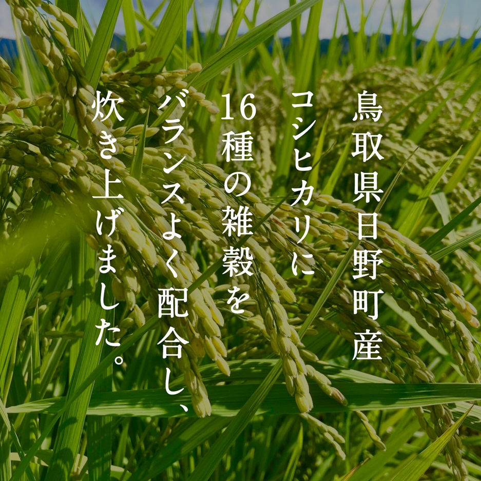 十六雑穀ごはん 160g×18個 パックご飯 パックごはん 雑穀 雑穀パックごはん 玄米 コシヒカリ こしひかり おこめのみかた 電子レンジ レトルト 鳥取県日南町