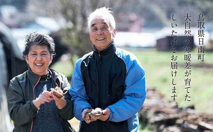 松尾農園 しいたけジャーキー 【4個セット】 おつまみ 椎茸 シイタケ ビール お酒 おかし お菓子