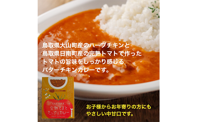 星降る里 鳥取県日南町の完熟とまと たっぷりカレー レトルト 2種6個 セット