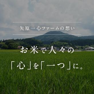 【新米・予約】令和7年産 矢原一心ファーム 特別栽培米 コシヒカリ 5kg 米 お米 おこめ 鳥取県日南町 こしひかり 特別栽培