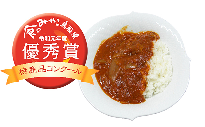 星降る里日南町　完熟とまとたっぷりカレー＆ハヤシ24個セット