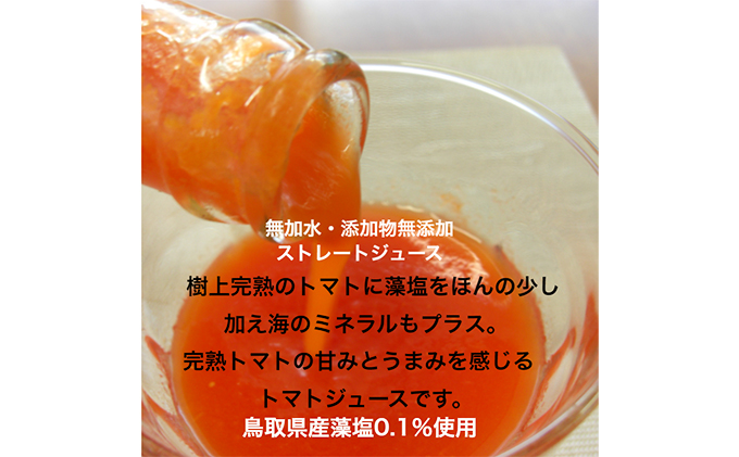星降る里 鳥取県日南町のまるごととまと 6本 セット