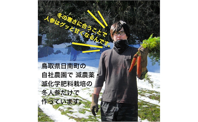 星降る里 鳥取県日南町のにんじんジュースとジンジャーシロップ 詰合せ セット