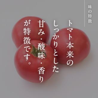 【北海道・離島へ発送不可】【期間限定】日南トマト　約4kg（20～24玉／箱） トマト とまと 鳥取県 日南町