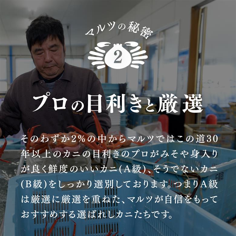 【早期予約限定・年末年始用】【冷凍発送】訳あり蟹屋の釜茹で紅ずわい蟹2kg(400g前後×4～6杯)箱詰めセット ベニズワイガニ 紅ずわいがに カニ かに 境港 マルツ ボイルズワイガニ 鳥取県日南町