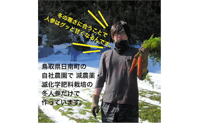 星降る里 鳥取県日南町の冬人参から作った にんじんジュースミニボトル 10本 セット