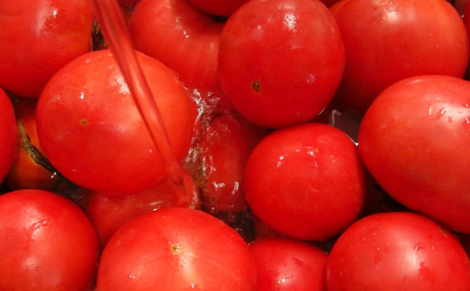 星降る里 鳥取県日南町の完熟とまと たっぷりカレー レトルト 2種6個 セット